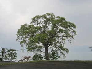 2015.5.14