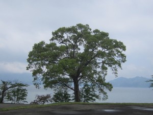 2015.5.16