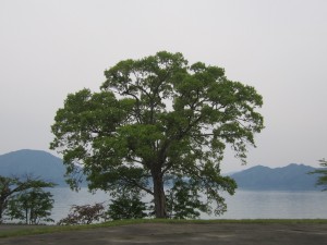2015.5.18夕