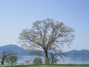 2015.5.2