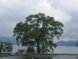 2015.5.21