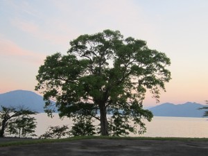 2015.5.23夕