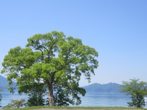 2015.5.24