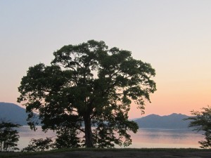 2015.5.24夕
