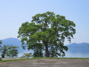 2015.5.26