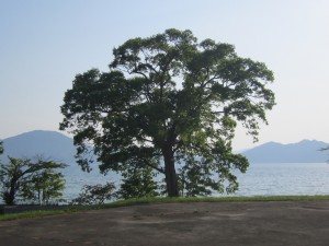 2015.5.26夕