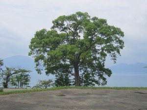 2015.5.27