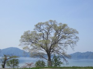 2015.5.3