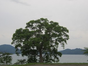 2015.5.30夕