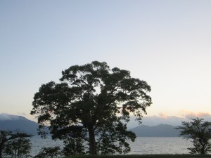 2015.5.31夕