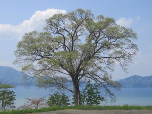 2015.5.4