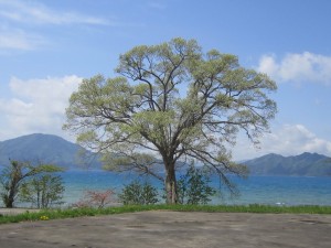 2015.5.5