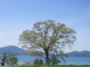 2015.5.6