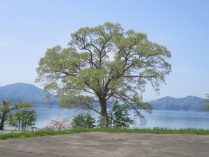 2015.5.8