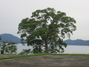 2014.6.5夕