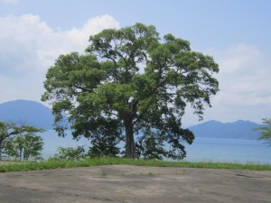 2015.6.17