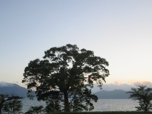 2015.6.19夕