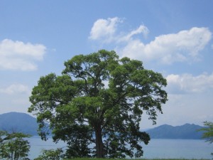 2015.6.2