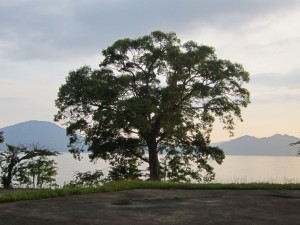 2015.6.21夕