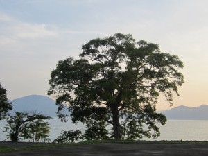 2015.6.22 夕