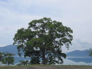 2015.6.23