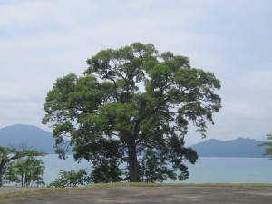 2015.6.24