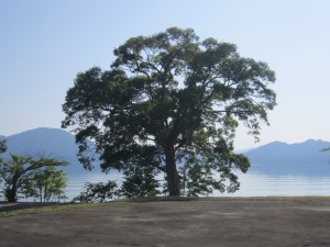 2015.6.25夕