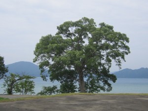2015.6.26