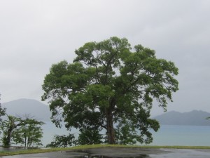 2015.6.27