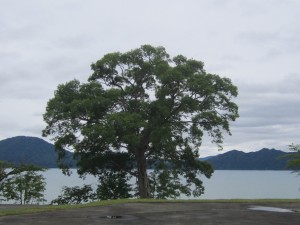 2015.6.28