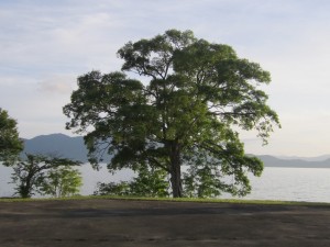 2015.6.29夕