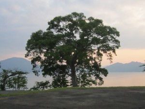 2015.6.30夕