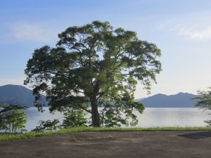 2015.6.7夕