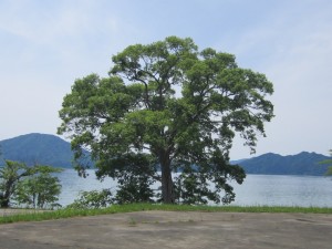 2015.6.8