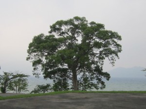 2015.7.14夕