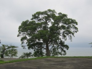 2015.7.15
