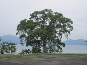 2015.7.16