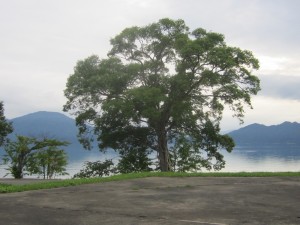 2015.7.20夕