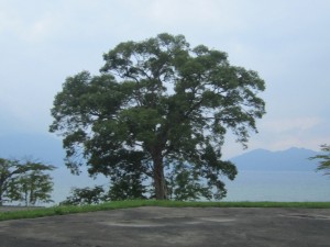 2015.7.31夕