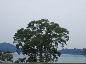 2015.7.8