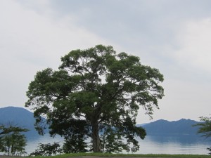 2015.7.8夕