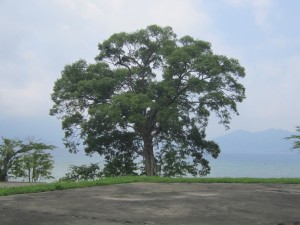 2015.8.1