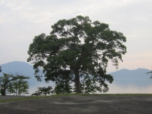2015.8.10夕