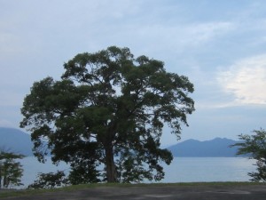2015.8.11夕