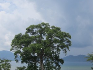 2015.8.12