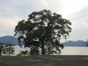 2015.8.15