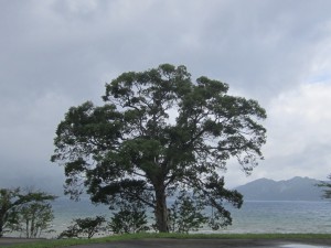 2015.8.18