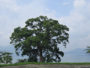 2015.8.2