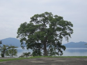 2015.8.21