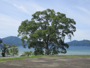 2015.8.25